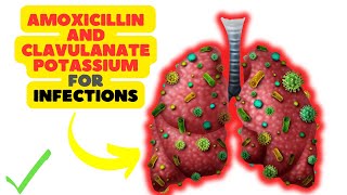 Amoxicillin and Clavulanate Potassium A DualAction Antibiotic for Bacterial Infections [upl. by Demb905]