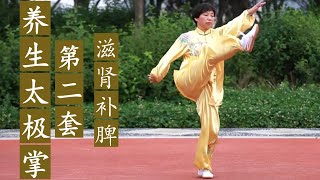 养生太极掌 第二套 赵昕老师 美国导引养生太极协会 Yangsheng Taichi Palm II by Master Zhao [upl. by Earehs]