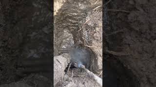 oddlysatisfying hydrovac excavation asmr satisfying work working construction telecom mud [upl. by Eradis]