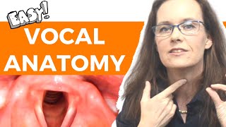 Vocal Anatomy for Voice Users Laryngeal Anatomy [upl. by O'Donnell]