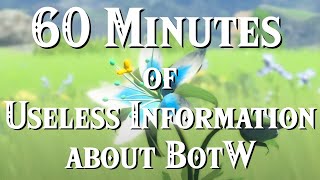 60 Minutes of Useless Information about BotW [upl. by Landy]