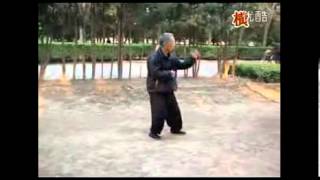 Gao style Bagua 64 linear palms [upl. by Cherey]