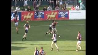 2015 Grand Final  Glenorchy v North Launceston  Q3 [upl. by Olimreh243]