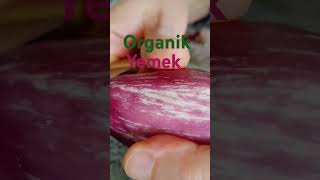 Patlıcan Yemeği 🍆organik yemek patlıcan domates biber soğan şirintasarım [upl. by Nnaeiram728]