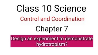 Design an experiment to demonstrate hydrotropism cbse education knowledge science [upl. by Soluk83]