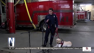 Duluth Fire Department welcomes arson K9 in Minnesota [upl. by Lontson]