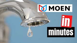 Stop a Dripping Single Handle Bathroom Faucet  Moen Washerless [upl. by Einnek841]