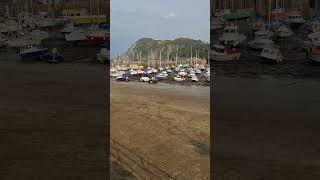 Ilfracombe HarbourFriday 20th September 2024 [upl. by Murat]