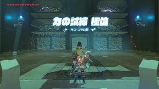 【96th】サス・コサの祠【厳選八十祠】ゼルダの伝説 ブレス オブ ザ ワイルド Saas Kosah Shrine  Severe Select Shrine 80 [upl. by Dira307]