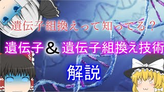 遺伝子と遺伝子組換え技術について【ゆっくり解説】 [upl. by Gillman]