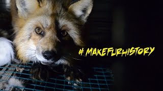 Exposing the Fur Industry [upl. by Aneela]