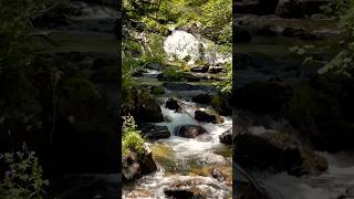 ‎⁨Hiking the PosetsMaladeta⁩ Natural Park ⁨Benasque⁩ ⁨Huesca⁩ ⁨Spain⁩ 🏔️🌲🇪🇸 hiking pyrenees [upl. by Towne]