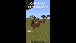 CAPYBARA IN MINECRAFT [upl. by Loutitia]