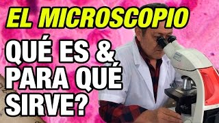 Qué es el microscopio y para qué sirve [upl. by Fredie]