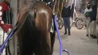 Island Heat  Harness Race Horse Post Parade at Balmoral Park Race Track [upl. by Johannes]