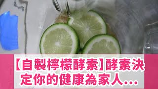 【自製檸檬酵素】酵素決定你的健康，為家人健康DIY [upl. by Hamian]