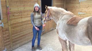 How to perform the Fetlock Mobilisation with your horse [upl. by Nicodemus]