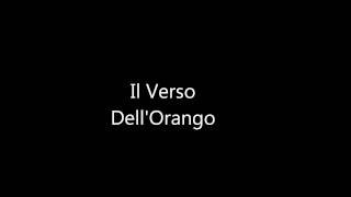 Il Verso DellOrango Video Interattivo [upl. by Girardo835]