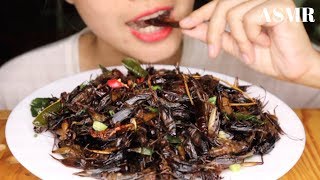 ASMR Mukbang Eating Cricket Insect No Talking 먹방  Primitive Technology [upl. by Arihay527]