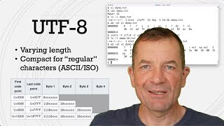 What are UTF8 and UTF16 Working with Unicode encodings [upl. by Cristal]