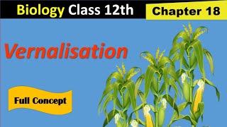 Vernalisation in plants  Fsc 2nd year biology  Kins academy [upl. by Trebbor747]