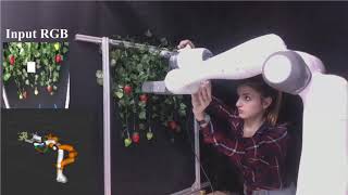 Deep probabilistic movement primitives a use case in strawberry picking robot [upl. by Sairahcaz]