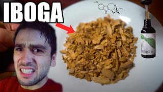 IBOGA Ibogaine Microdosing Experiment African Psychedelic Plant DAY 1 [upl. by Tisbe146]