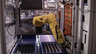 Compact Robotic Machine Tender with FANUC LR Mate Robot  Automated Cells amp Equipment RMT Series [upl. by Aleyak]