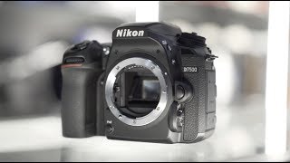 Nikon D7500 Review by Georges Cameras [upl. by Ymmor]