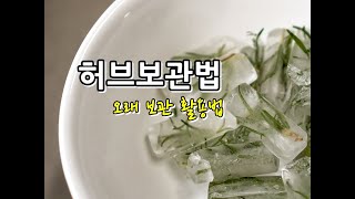 허브 오래 보관하는 방법 냉동보관으로 보관 및 활용법까지 알려드려요 How to keep herbs long [upl. by Annovy]