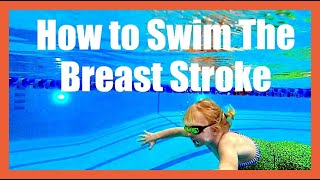 How to Swim the Breast Stroke [upl. by Eenehs117]