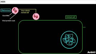 2 12B084 Introduction CV1 Replication of Retrovirus [upl. by Livy257]