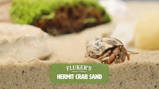 Flukers AllNatural Premium Sand Substrate Mixture for Hermit Crabs [upl. by Asilem50]