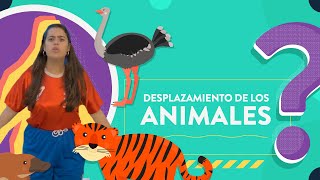 Desplazamiento de los animales [upl. by Ellga]