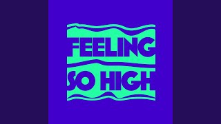 Feeling So High Extended Mix [upl. by Sulihpoeht]