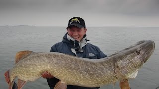 Record breaking Northern Pike Session StruikRovers [upl. by Llehcam]