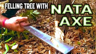 Nata Axe Felling Tree [upl. by Nyleda]