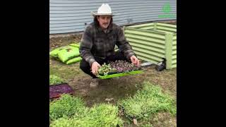 Grow Your Dream Garden with Savana Raised Beds [upl. by Artap]