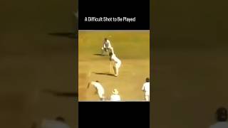 Sachin Tendulkar After Being Hit On Helmet  Revenge In Cricket [upl. by Woods314]