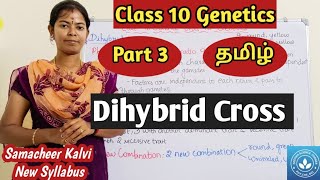 Dihybrid Cross Class 10 Science Unit 18 Genetics [upl. by Kauffman653]