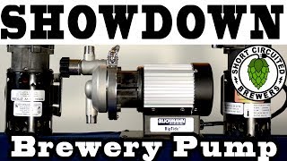 Blichmann Riptide Pump Review and comparison to March and Chugger Pumps brewerypumpshowdown [upl. by Tomchay]