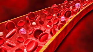 Anticoagulation for Venous Thromboembolic Disease  Presentation [upl. by Sheeb681]