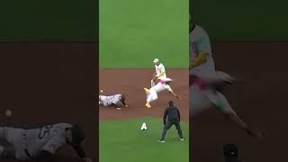 MLB  Funny Moments in Baseball baseball MLB Beisbol [upl. by Itnaihc]