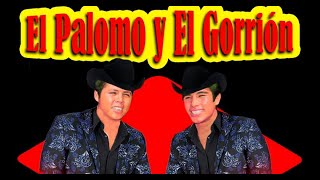 El PALOMO Y EL GORRIONElpidio Paso Corridos Memoriables Musica Norteña Regional [upl. by Gilboa329]