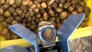 Spedo Potato Planter available at Everything Attachments [upl. by Natam]