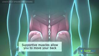 Lower Back Sprains and Strains [upl. by Lateh267]