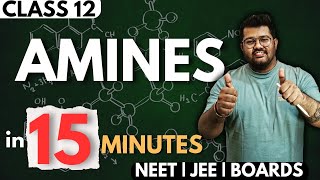 Class 12 Chemistry  Amines in 15 Minutes  NEET 2024 [upl. by Tal]