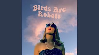 Birds Are Robots [upl. by Yert68]