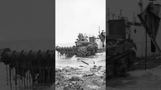 British Sherman Crab Flail tank coming ashore Walcheren Island 1944ytshort ww2 british sherman [upl. by Nitsug]