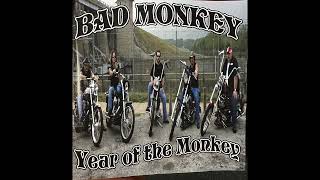 Bad Monkey  Year of the Monkey  Full Album 2007 [upl. by Aihsemaj523]